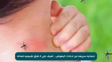 لحماية سريعة من لدغات البعوض.. تعرف على 4 طرق طبيعية فعالة